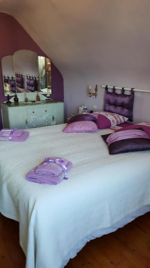 Offendorf Au Berceau Du Loup Agile Bed & Breakfast エクステリア 写真